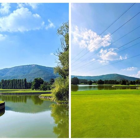 La Corte Del Bona - Vicino Alle Cantine E A Circa 15 Minuti Dal Lago Di Iseo - Apartman Erbusco Kültér fotó