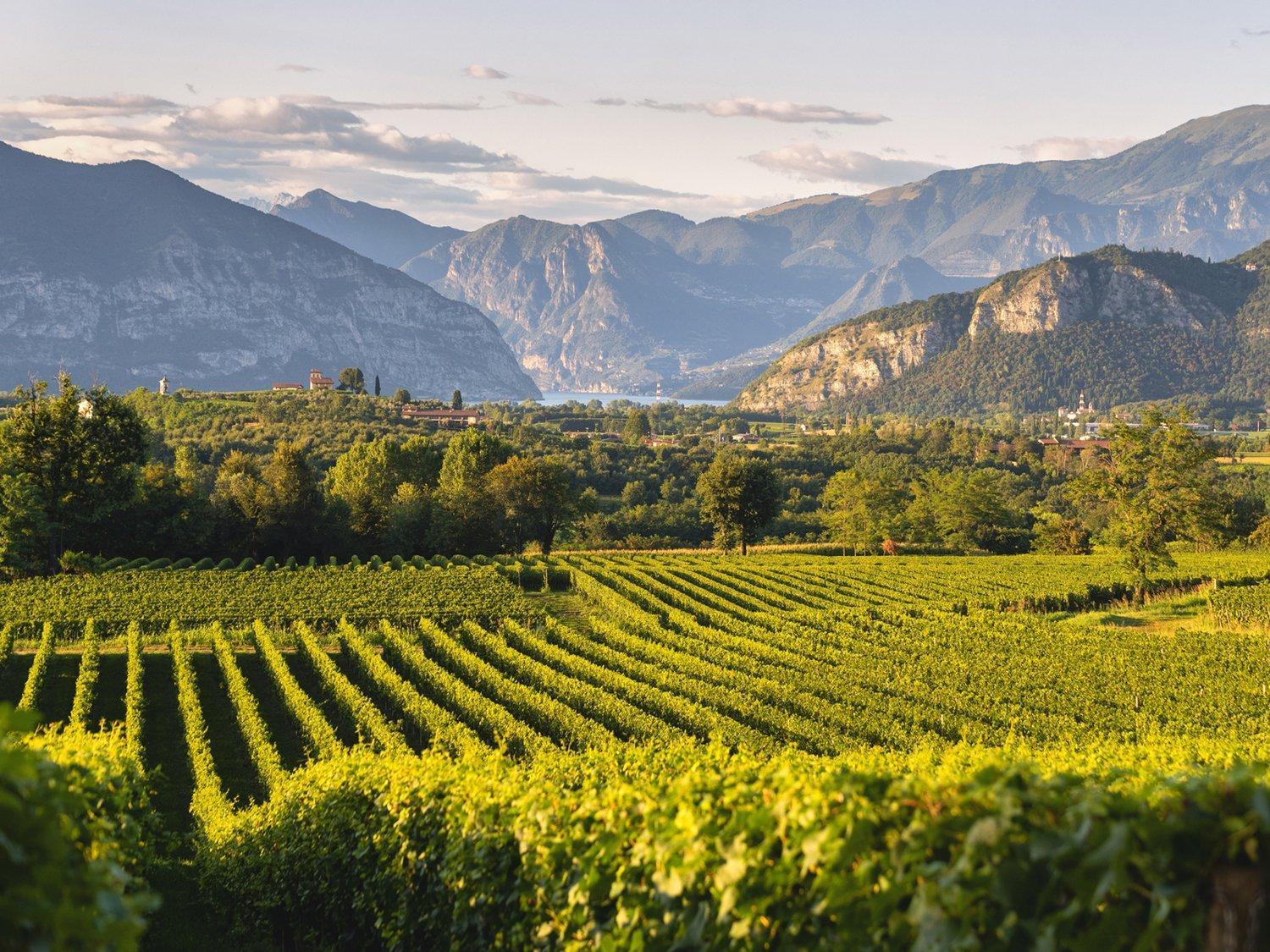 La Corte Del Bona - Vicino Alle Cantine E A Circa 15 Minuti Dal Lago Di Iseo - Apartman Erbusco Kültér fotó